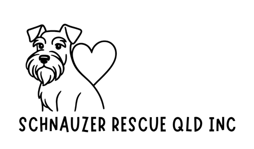 Schnauzer Rescue Queensland Inc