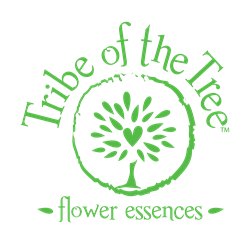 Tribe of the Tree flower essences